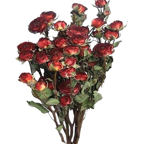 JOJAZE Natural Dried Flowers Bouquet Mini Dried Roses for Wedding Table Vase Decor Boho DIY Wreath Floral Home Office Party Garden Decoration Cover