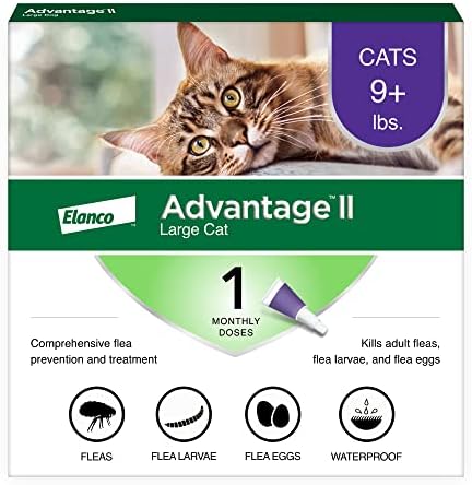 Advantage II Large Cat Vet-Recommended Flea Treatment & Preventio...
