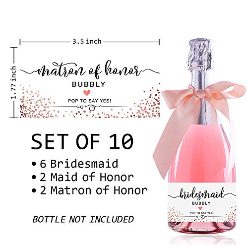 Tsdtuo Set Of Bridesmaid Bubbly Mini Champagne Labels Bridesmaid Proposal Box Will You Be My Bridesmaid Idea Bride Squad Bride Tribe Bachelorette Party Bridal Shower Set Of 10 thumb #1