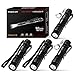 Keychain Flashlight, RISEMART Small Mini Pocket Led Pen light Super Bright EDC Waterproof 3.5inch CREE XPE-R3 Portable with Clip and AAA Battery (Pack of 4) for Inspection, Hiking, Camping