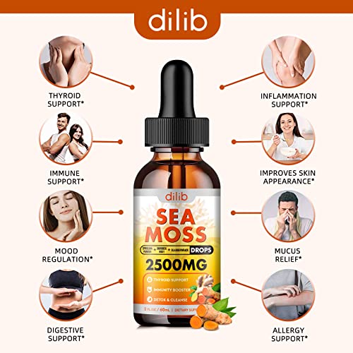 Irish Sea Moss Liquid Drops: 2000Mg, Organic Bladderwrack, And Burdock Root, Spirulina, Thyroid Support, Support For Digestion And Skin, Joint Health, Herbal Supplements-2 Fl Oz Turmeric & Ginger #TOP4