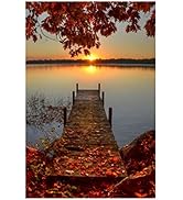 BDUREF Diamond Painting Set für Erwachsene Diamond Painting Kits 5D DIY Diamant Malerei Set Diama...