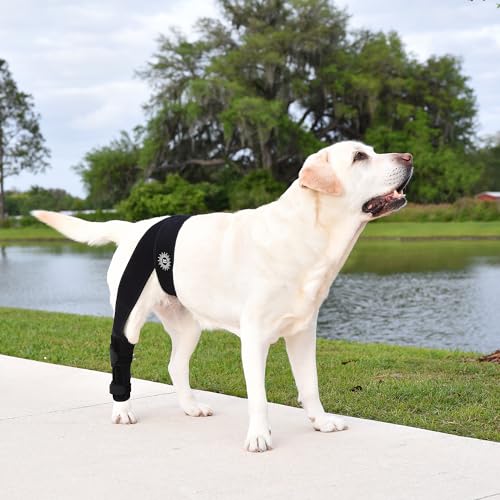 Image of Large Breathable Dog Knee Brace for Torn ACL Legs - Easy to Use, Neoprene Dog Leg Braces for Back Leg - ACL Brace for Dogs, Helps Reduce Pain and Heal Injuries