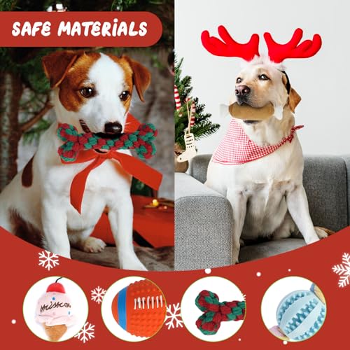 ANOTION 12 Tage Weihnachtshundspielzeug Adventskalender 2025 – Interaktives Quietschendes Hundespielzeug Set, Aggressive Kauer, Beinhaltet Kauspielzeug, Seile, Bälle und mehr
