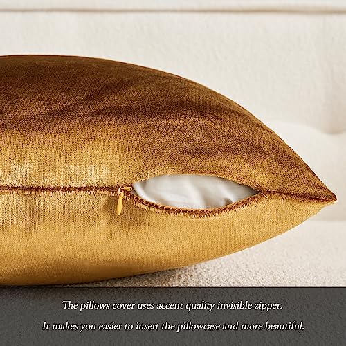 MIULEE Champagne Gold Luxurious Velvet Cushion Covers Soft Decorative Square Throw Pillow Case Pillowcases for Livingroom Sofa Bedroom with Invisible Zipper 20"x20" 50cm x 50cm 2 Pieces - Image 2
