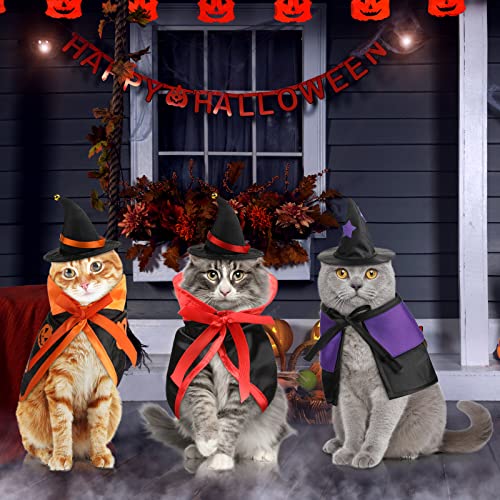 6 piezas Disfraz Halloween para gatos con capa y sombrero miniatura 6