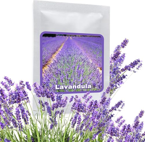 Semi di Lavanda Officinale - ca. 500 pezzi per confezione - perenne/resistente - pianta da giardino molto popolare con profumo aromatico - coltivazione in giardino o in vaso