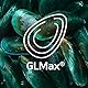 5-in-1 GLMax® Grünlippmuschel Plus – 60 Flüssigkapseln | Mit flüssiger Grünlippmuschel, Curcumin, Omega-3, Vitaminen & Johannisbeerblatt | Für Gelenke, Muskeln & Knochen
