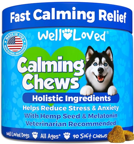 Calming Chews for Dogs  Dog Calming Treats Made in Usa Vet Developed Dog Anxiety Relief Separation Fireworks Travel  Stress Support Melatonin Natural  Holistic 90 Calming Treats  Cucciolini Doodles Calming chews for dogs  dog calming treats made in usa vet developed dog anxiety relief separation fireworks travel  stress support melatonin natural  holistic 90 calming treats   cucciolini doodles