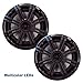 KICKER Black Dual Wake Tower System Charcoal 6.5