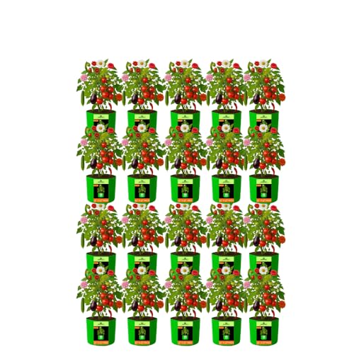 Image of Kingwell Plant Grow Bags 12x12 inch pack of 20, Bags for Plants Gardening Home, Grow Bags for Terrace Gardening