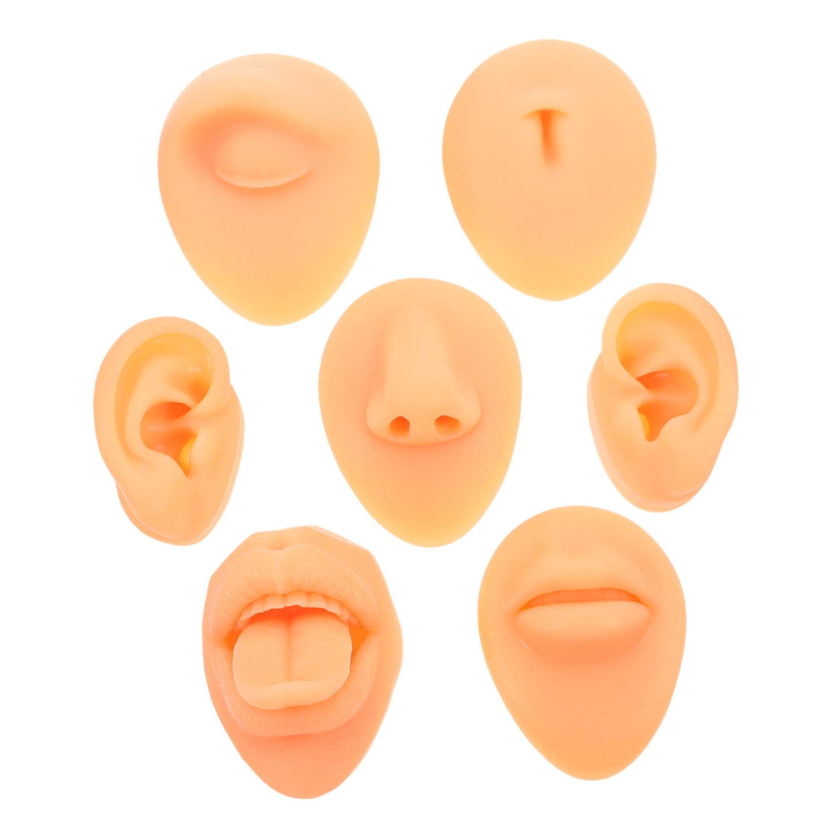 SOESFOUFU Realistic Piercing Practice Tool 7pcs Silicone Face Model for Display and Training