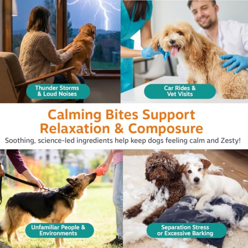Image of Zesty Paws Calming Chews for Dogs - for Everyday Stress, Relaxation, Composure, and Separation Turkey 90 Count