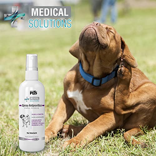 Reviews y listado de Fancy pets - los mas comprados. 6 Imagen adicional