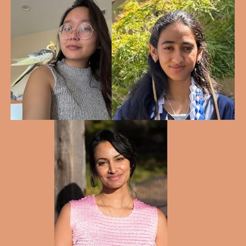 South Bay Youth Changemakers: Going Beyond the Stereotype of “Asian American” to Realize a Broad Sense of Community and Activism in Silicon Valley Podcast Por  arte de portada