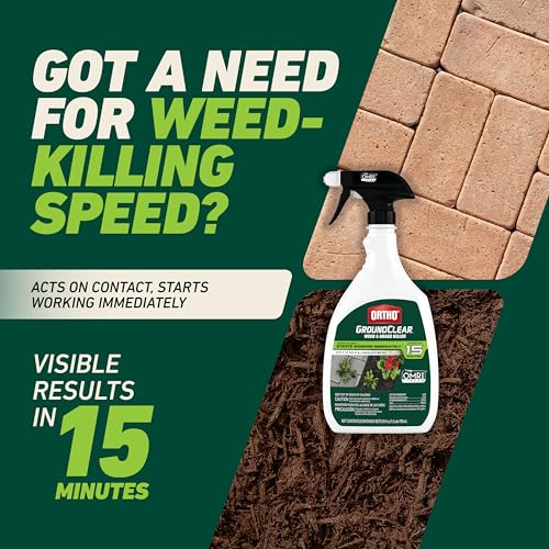 Image of Ortho GroundClear Weed & Grass Killer - Kills Dandelions, Chickweed, Crabgrass, Moss & More, OMRI Listed, Ready-to-Use Grass and Weed Killer Spray, 24 fl. oz. (2-Pack)