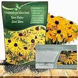 Outsidepride Black Eyed Susan Rudbeckia Seeds - 1/4 lb. Perennial, Easy to Grow & Self-Seeding Flower Seeds for Planting Golden Yellow Blooms, for Low Maintenance Pollinator Gardens & Erosion Control