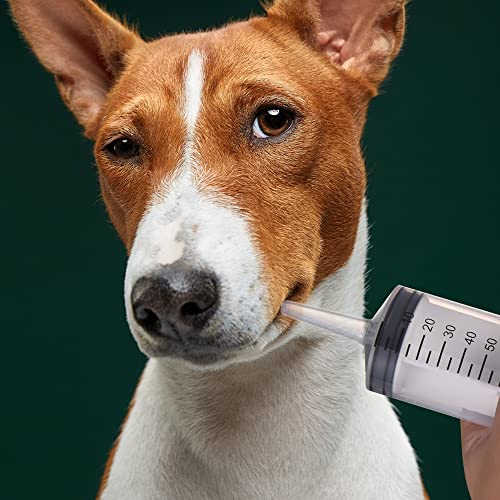 2 Pack 150Ml/Cc Large Syringe , Individually Sealed Plastic Liquid Syringes With Measurement For Scientific Labs, Measuring, Watering, Refilling, Filtration Multiple Uses (150 Ml) #TOP5