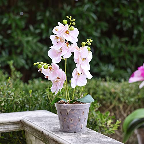 Truedays Orchid Pots With Holes Plastic Flower Plant Pot Clear Plastic Orchid Pot For Indoor Outdoor,2 Each Of 4.5 Inch/5.5 Inch/7 Inch - 6 Pack #TOP3