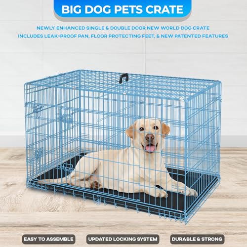 Vari Kennel Petsmart Dog Crates In Store Crate Store Petsmart Dog