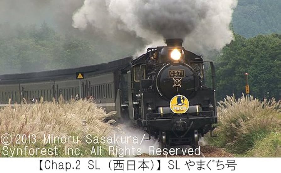 Amazon.co.jp: シンフォレストDVD 日本のSL・ローカル線