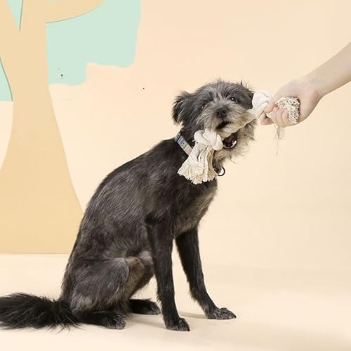 Brinquedo Corda Nó Crochê Brinquedo Mordedor P/Cães Cachorro Pet Cabo De Guerra 32CM AH122-11