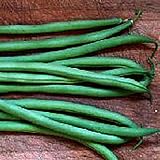 Maxibel Bush Beans Seeds (20+ Seeds) | Non GMO | Vegetable Fruit Herb Flower Seeds for Planting | Home Garden Greenhouse Pack