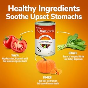 Fruitables-Pumpkin-Digestive-Supplement--Made-in-USA-Canned-Pumpkin-for-Dogs-Cats-Pumpkin-Puree-Dog-Dog-Digestive-Support-15-oz-Pack-of-4 - Cucciolini Doodles   Fruitables-Pumpkin-Digestive-Supplement--Made-in-USA-Canned-Pumpkin-for-Dogs-Cats-Pumpkin-Puree-Dog-Dog-Digestive-Support-15-oz-Pack-of-4