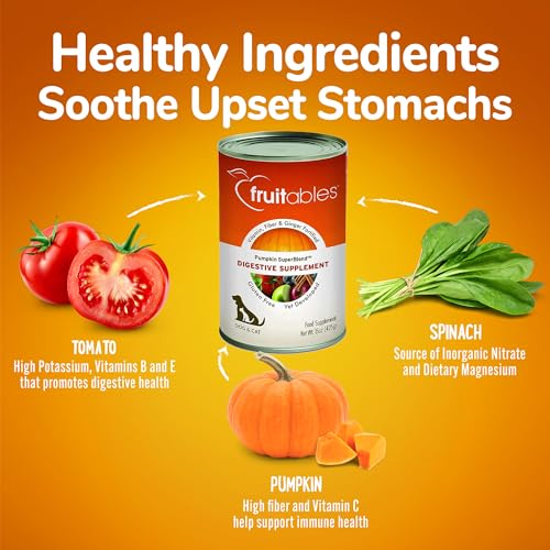 Fruitables-Pumpkin-Digestive-Supplement--Made-in-USA-Canned-Pumpkin-for-Dogs-Cats-Pumpkin-Puree-Dog-Dog-Digestive-Support-15-oz-Pack-of-4 - Cucciolini Doodles   Fruitables-Pumpkin-Digestive-Supplement--Made-in-USA-Canned-Pumpkin-for-Dogs-Cats-Pumpkin-Puree-Dog-Dog-Digestive-Support-15-oz-Pack-of-4