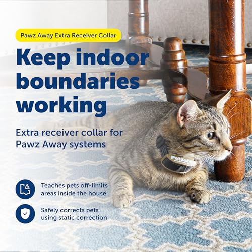 PetSafe Pawz Away Indoor/Outdoor Extra Receiver Collar for Cats and Dogs for Wireless Pet Barrier System by PetSafe - Image 2