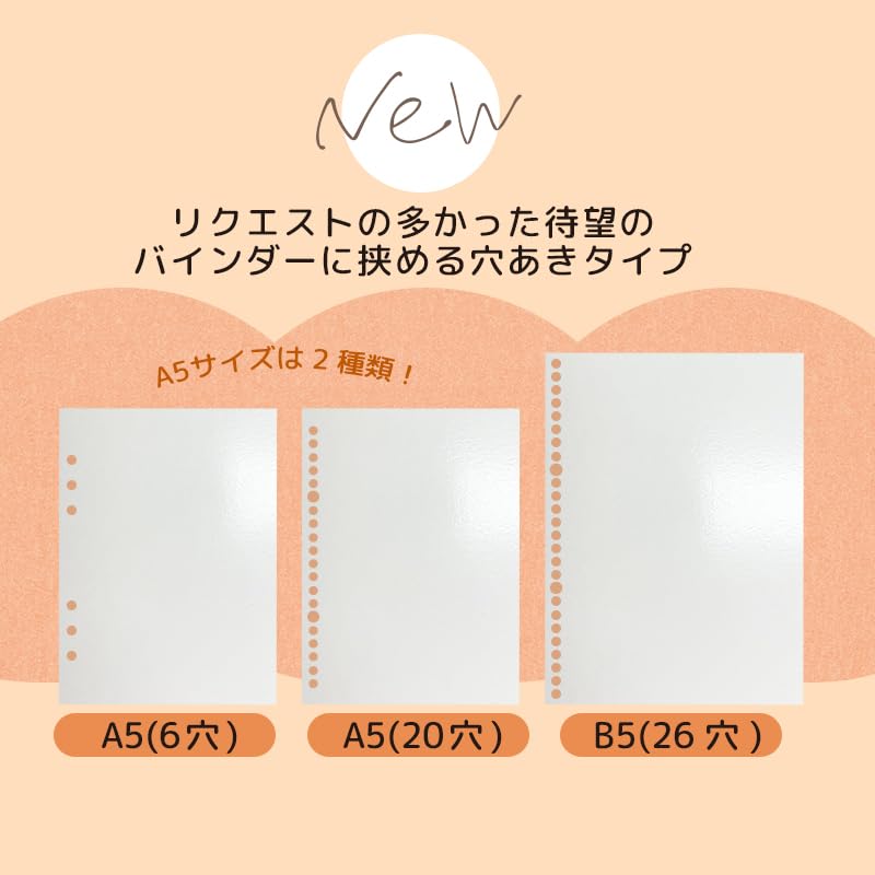 Amazon.co.jp: 剥離紙シート シール帳 B5(26穴) 5枚入 貼って剥がせる