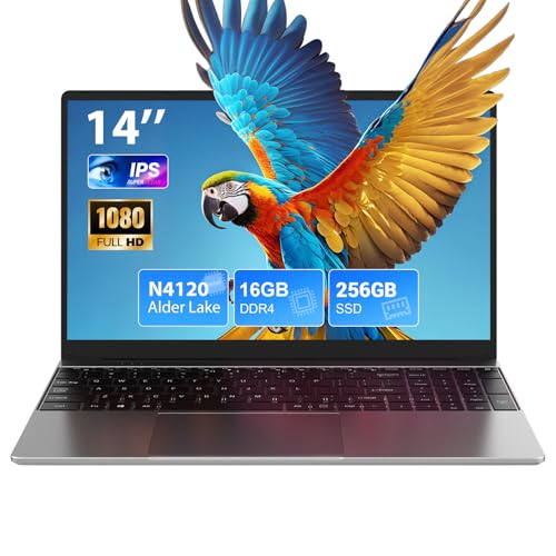 PC Portatile 14 Pollici 16GB DDR4 256GB SSD, Win 11 Notebook con Quad Core Celeron N4120, 1920 * 1080 IPS FHD Portatile Laptop con WiFi 5, Mini HDMI, USB-3.0, Mouse Inclusi
