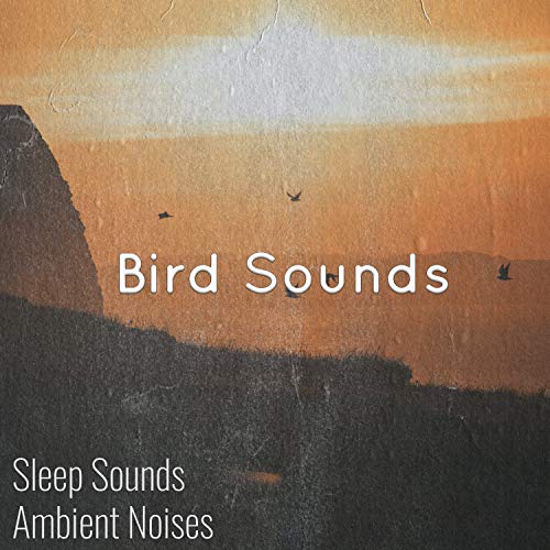 Play Tranquil Birdsong & Birds Singing by Sleep Sounds Ambient Noises, Bird Songs & Nature And
