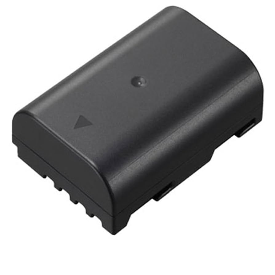 Panasonic DMW-BLF19 　2本セット 新品 Panasonic DMW-BLF19 互換バッテリー 2個 & [ デュアル