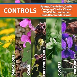 Monterey Spurge Power Bundled with Measuring Spoon - Post Emergent Selective Herbicide Concentrate - 1 Pint