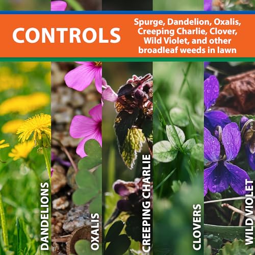 Image of Monterey Spurge Power Bundled with Measuring Spoon - Post Emergent Selective Herbicide Concentrate - 1 Pint