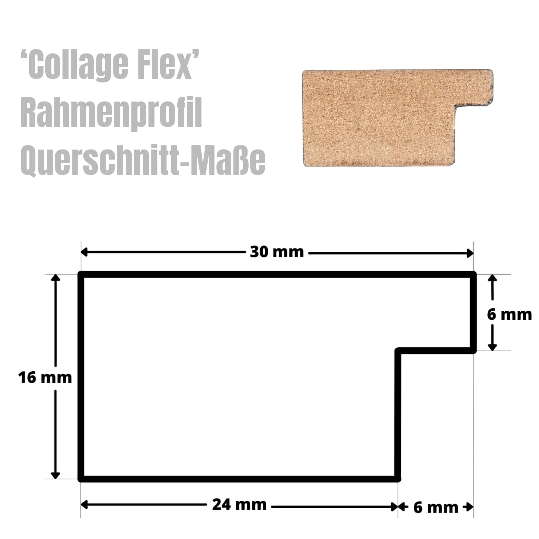 Clamaro 'Collage Flex' Cornice Portafoto 70 x 90 cm | Salvia | Cornice per foto collage con elastici e mollette fotografiche | Ideale come galleria per foto o cartoline