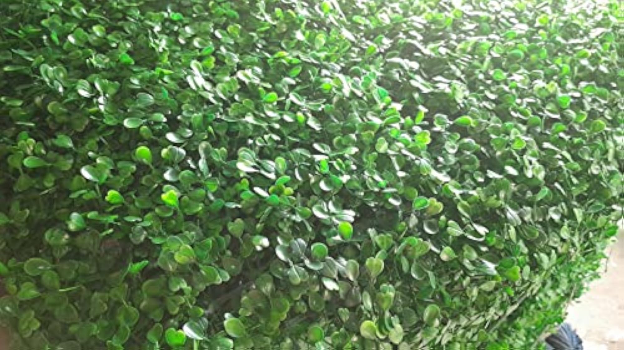Wall Decoration Artificial Vertical Grass Wall Panel