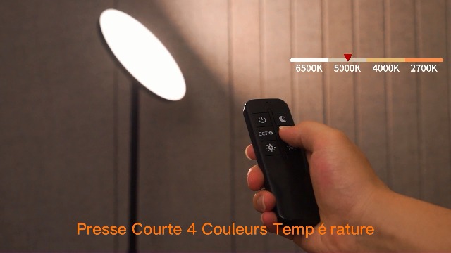 imodomio Lampadaire LED dimmable avec télécommande, colonne lumineuse à changement de couleur Températures de couleur RVB Lampe d'angle (156CM Floor
