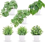 Der Rose 6Pcs Petites plantes de faux pots pour salle de bain Bureau plateau Decor Mini plantes artificielles mélangent de fausses plantes avec des pots blancs pour le salon, la chambre à coucher et la cuisine décor intérieur; pas d'arrosage