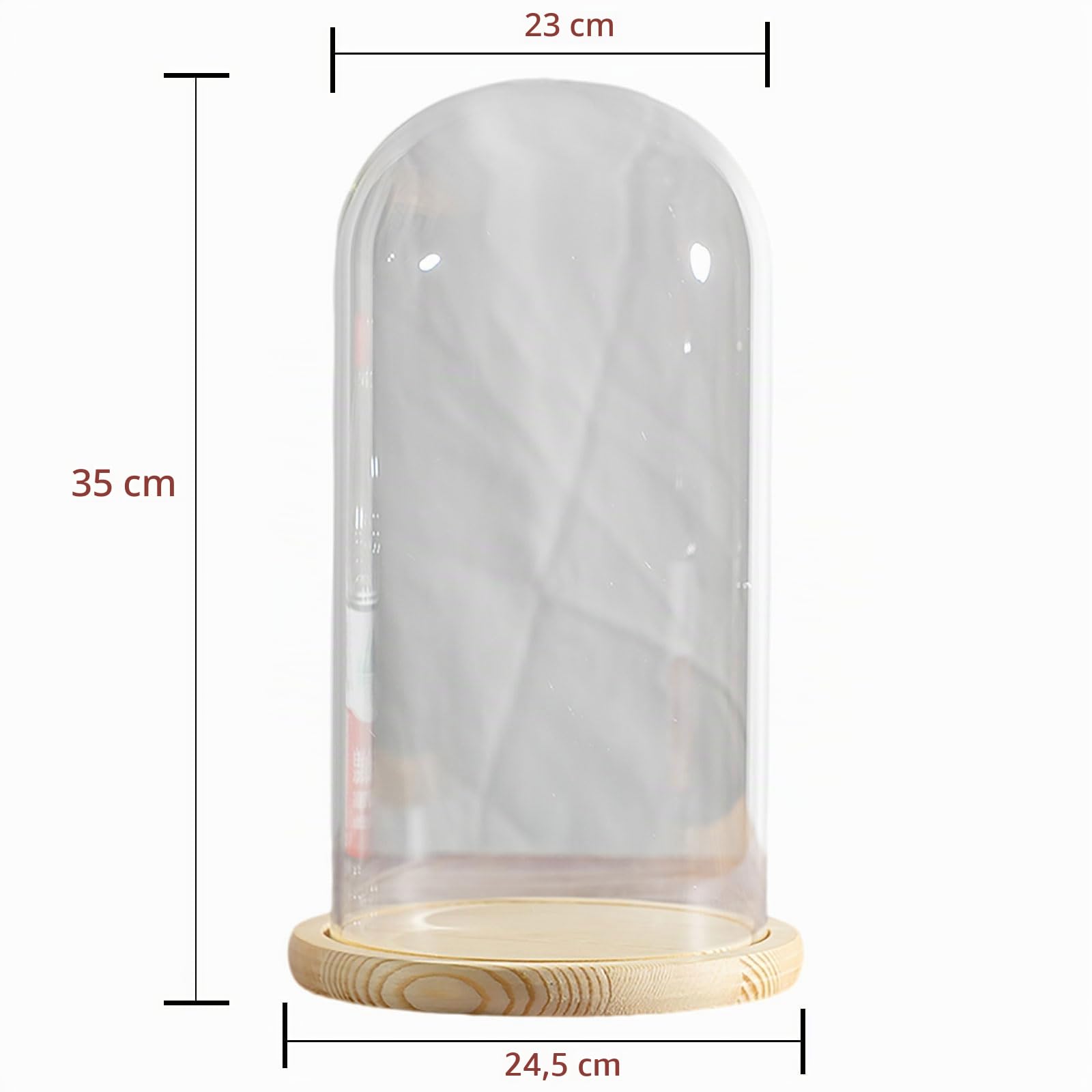 Grande Cloche en Verre, Cloche en Verre avec Socle en Bois, diamètre 23 cm, Hauteur 30-40 cm(Dia23*H35cm)