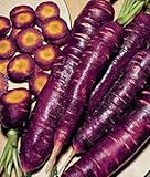 List of Unusual Vegetables 4 Carrot, Purple Haze, Hybrid, 20+ Seeds, Unusual Delicious and Sweet