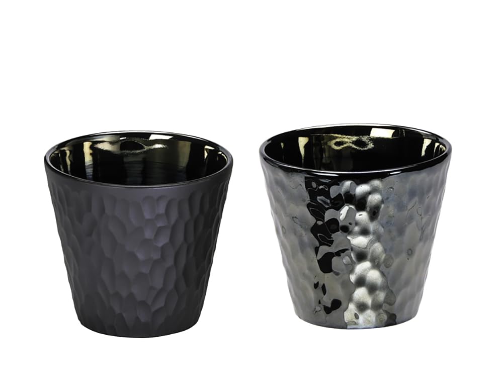 Amazon｜美濃焼 タンブラー 酒器 ロックカップ 約300ml ペアセット