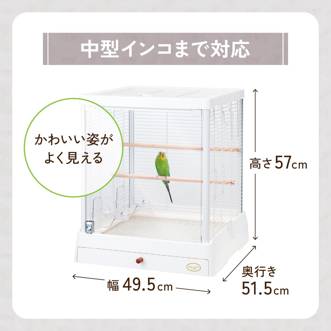 Amazon | ミニマルランド バードパレス クリアライフ 50W フル