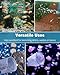 Pawfly Soft Round Aquarium Net, 2 Inch Shrimp Net with Extendable Stainless Steel Handle for Baby Fish, Food Residue Debris