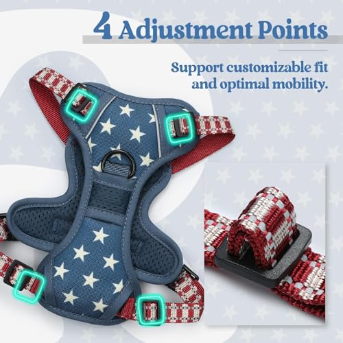 Image of rabbitgoo Dog Harness No Pull with 2 Leash Clips, Adjustable Soft Padded, Reflective Oxford No Choke Pet Vest with Easy Control Handle for Large Dogs, Blue Star, XS