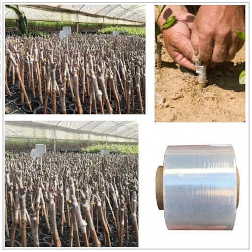 Fita de enxertia transparente esticável para plantas mudas, fitas de enxerto de jardim de árvores fr