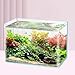 Baoblaze Clear Tank Decoration Elegant Modern Multifunctional Betta Fish Tank Aquarium for Birthday Apartment Hotel Office, 50cmx27cmx30cm