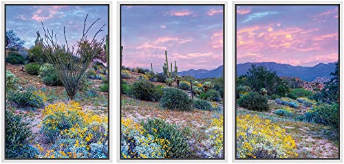 wall26 - Blooming Desert at Sunset Framed Canvas Art Wall Art - 16"x24"x3 White