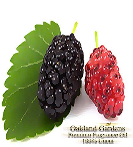 BULK Fragrance Oil - MULBERRY Fragrance Oil - Dark cherry and ripe strawberry blended with tangerine, orange and mango - By Oakland Gardens (120 mL - 4.0 fl oz Bottle)